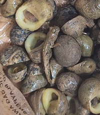 ����������