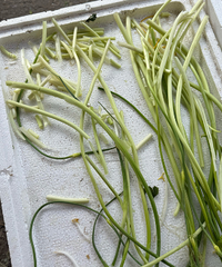 ��о27Ԫһ��