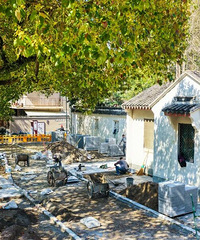 �����𣬶�ɽ��԰�ܱߴ����