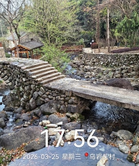 ���㲽������������ͷ�Ŵ���ε��ϵ�������