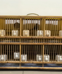 ץ�񡰽��ơ���ȴ���Լ��ͽ����෿����