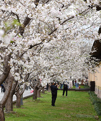 ̨�ݸ���ӣ����