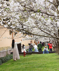 ̨�ݸ���ӣ����