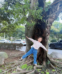 ����Ŀ�ĵ�ɢɢ���ɣ�һ�����Ѱ�Ҵ���