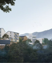 ȫ��������̨���������ԺǨ���������½�չ