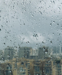 ǿ���������������������������