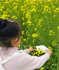 һ�����Ѱ�Ҵ���