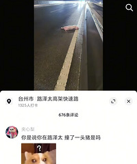 С��������·��̫�߼���ײ��һͷ��