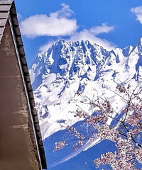 91���б��ƣ�˽���������ȶ�30�����ң��Ը��º�