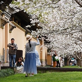 ̨�ݸ���ӣ����