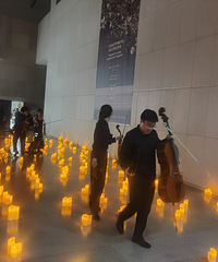 �����������������Ϻ�ɭ������������ֻ�