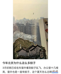 �������ӡ�ʷʫ����ǿ�����������賿��ҧ�ѣ����ز�������