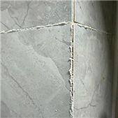 ǽ���ﳤ����ʲôѽ