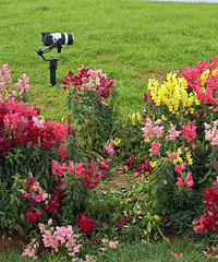 �������̵����յ����������������ȳ�������