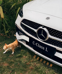 ����Cλ�Ѿ�λ������һ·����