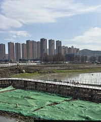 20����Ŀ�뷢���������������ٻ���