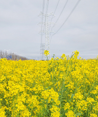 ����û����