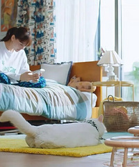 �����˲��򷿣�����ʮ���ⷿ