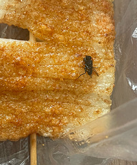 ·����֥�Ž���С�Ե꣬�Ӳʹ��Ӭ