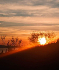 85����������������Ů�ԣ����۹���������·�Ź���