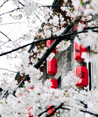 ������ӣ��