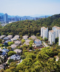 ̨��δ�����ҽ�����87��·�Ź���������12����������