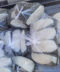 �������ʲô��ͩ��Ҷ��