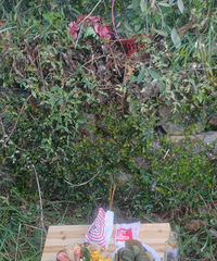 ����ϵ»�������ʱ��