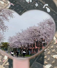 �������ã�����Զ�У��羳����԰ӣ��������