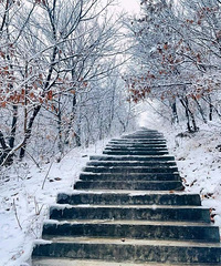 �������Ҷ���36��δ�飬����������̨�ݹ����Ϳ���