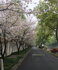 ������Ϣ��������ͥ���ɽׯ�����򿨵�