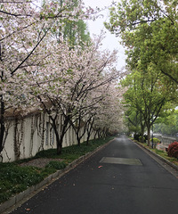 ������Ϣ��������ͥ���ɽׯ�����򿨵�