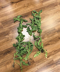 ���֡��ˡ������֣�̨������2�˱�����