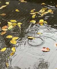 ̨����׼���ã��������Ҫͻ��30��