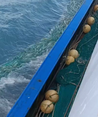 ���������ްԡ���ǹ���˵�̨�ݴ�����Ԥ����10��