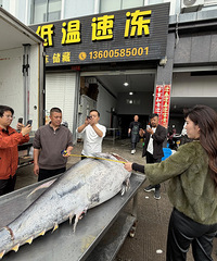 ���������ްԡ���ǹ���˵�̨�ݴ�����Ԥ����10��