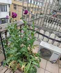 ���֡��ˡ������֣�̨������2�˱�����