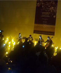 ������ֻ�