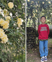 ��ľ���������ܶ�������