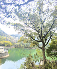 ��ԽѾ����