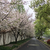 ������Ϣ