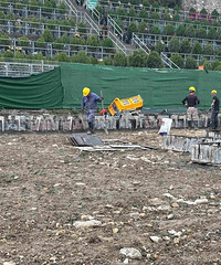 �½��ȣ���ʦ̨�ݶ���У����������Ŀ�������׶�԰���������Ĳ���