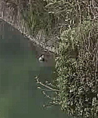 ��ˮ�������ؿڣ�Ů��ȴ�����ϰ�����������һ������