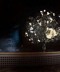 ��͸������ʯ�߼�������һ��������û������ס����