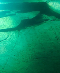 �ڳ�����ˮ���� �׺���ˮ�²����