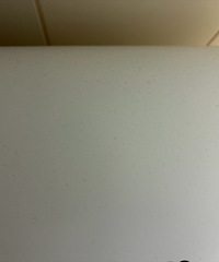 ��Щ���������������ģ�