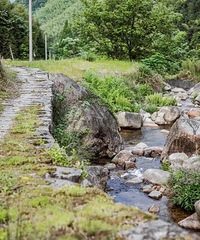 ͽ������ϲ����������ǧ��ŵ���������Ѫ�ع顱