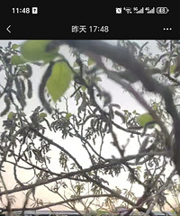 �����������ܲ��ܳԣ������������ǽժ�İ���