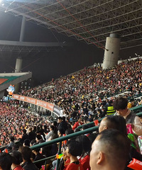 ̨������������