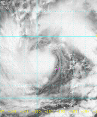 ��������꣬7~9���ױ���磡��ע�����